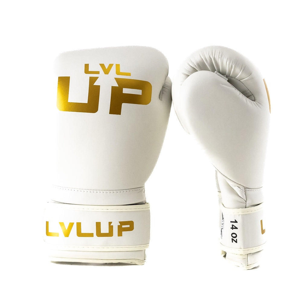 LVL UP BOXING GLOVES