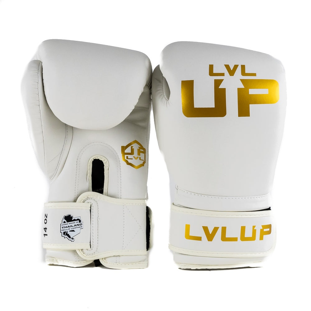 LVL UP BOXING GLOVES