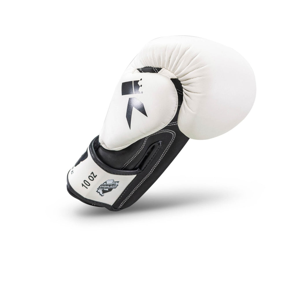 King Pro Boxing BGK bokshandschoenen nr. 2