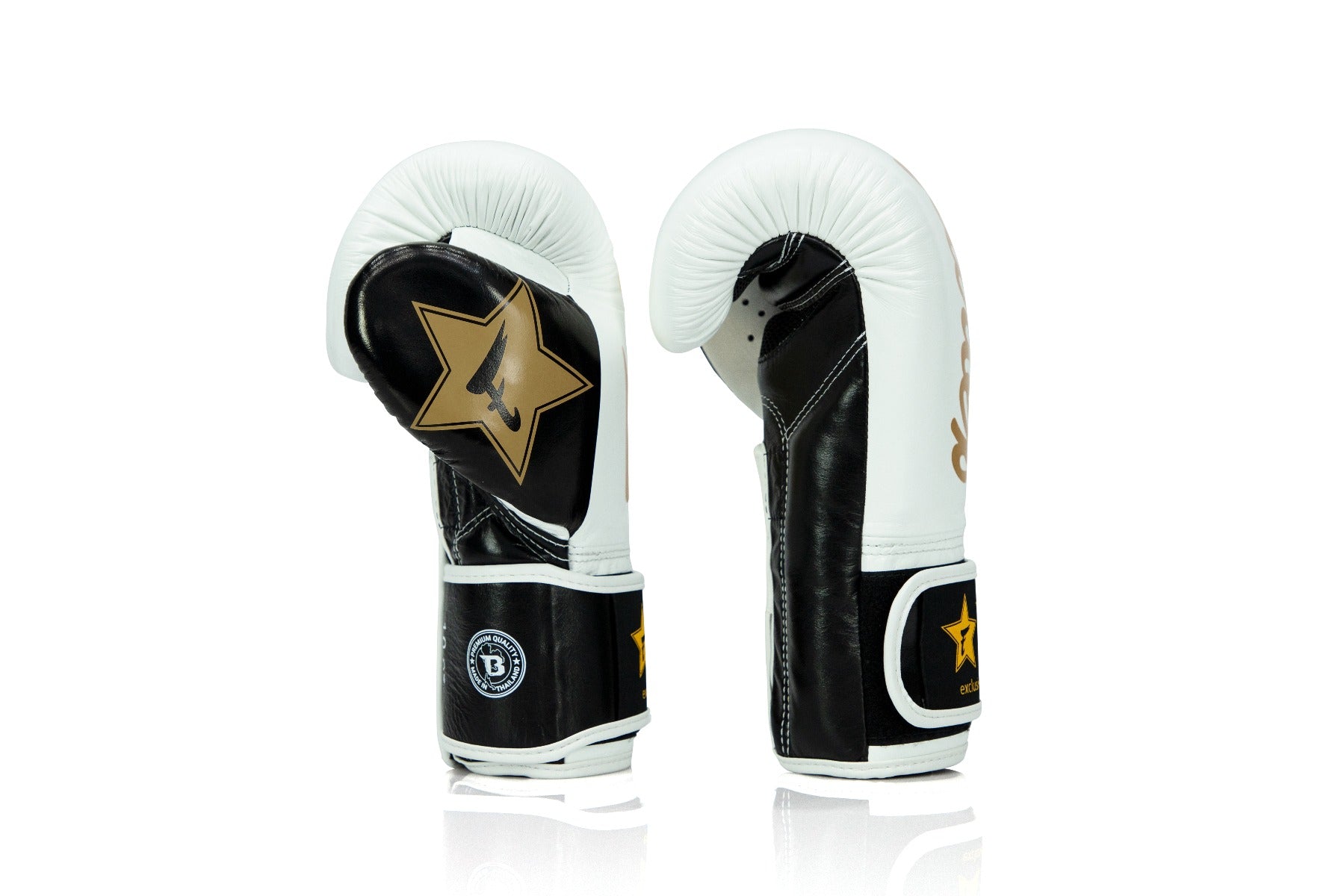 FXB BOXING GLOVES