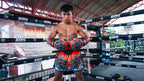 King Pro Boxing Dragon bokshandschoenen