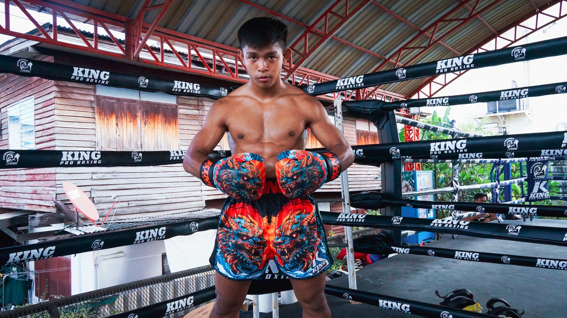 King Pro Boxing Dragon bokshandschoenen