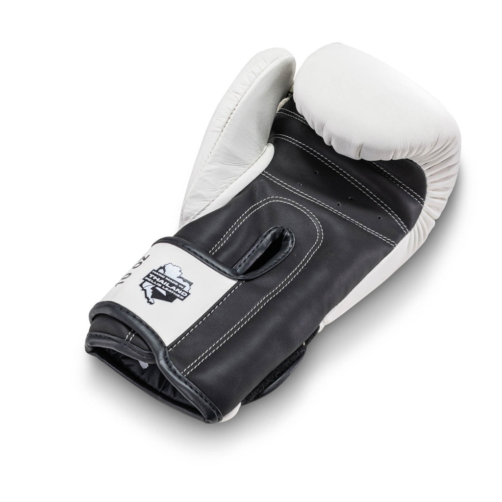 King Pro Boxing BGK bokshandschoenen nr. 2
