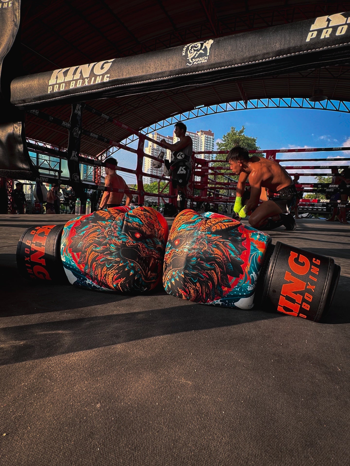 King Pro Boxing Dragon bokshandschoenen