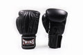 Twins BGVL14 bokshandschoenen — zwart