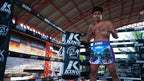 King Pro Boxing Thailand Trunk
