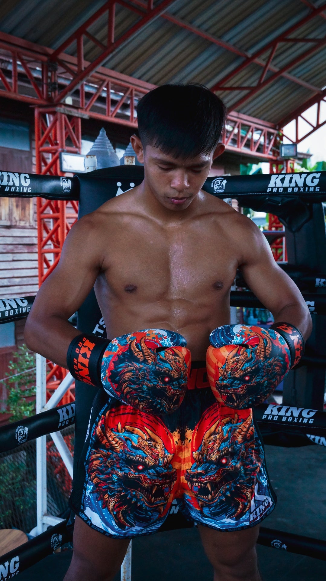 King Pro Boxing Dragon bokshandschoenen